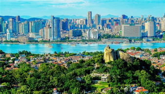 推進(jìn)城市治理體系和治理能力現(xiàn)代化 廈門各界掀起學(xué)習(xí)貫徹黨的十九屆四中全會精神熱潮