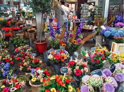 農(nóng)村創(chuàng)業(yè)新機(jī)遇 小作坊代加工項(xiàng)目探索，兼論禮品花卉銷售