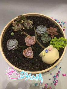 DIY分類指南與禮品花卉銷售策略